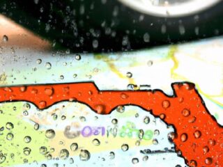 Best Tires for Florida