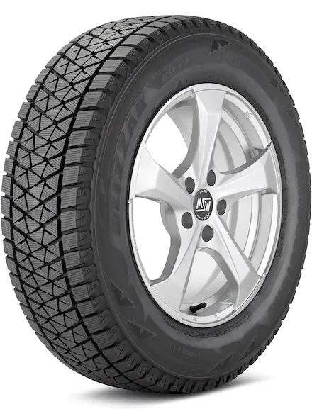 Bridgestone Blizzak DM V2